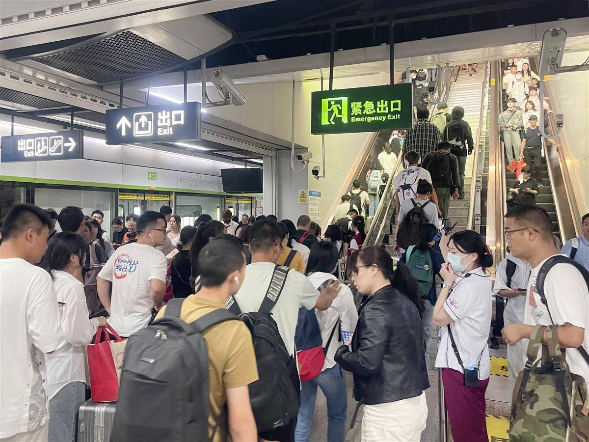 淘宝白菜网